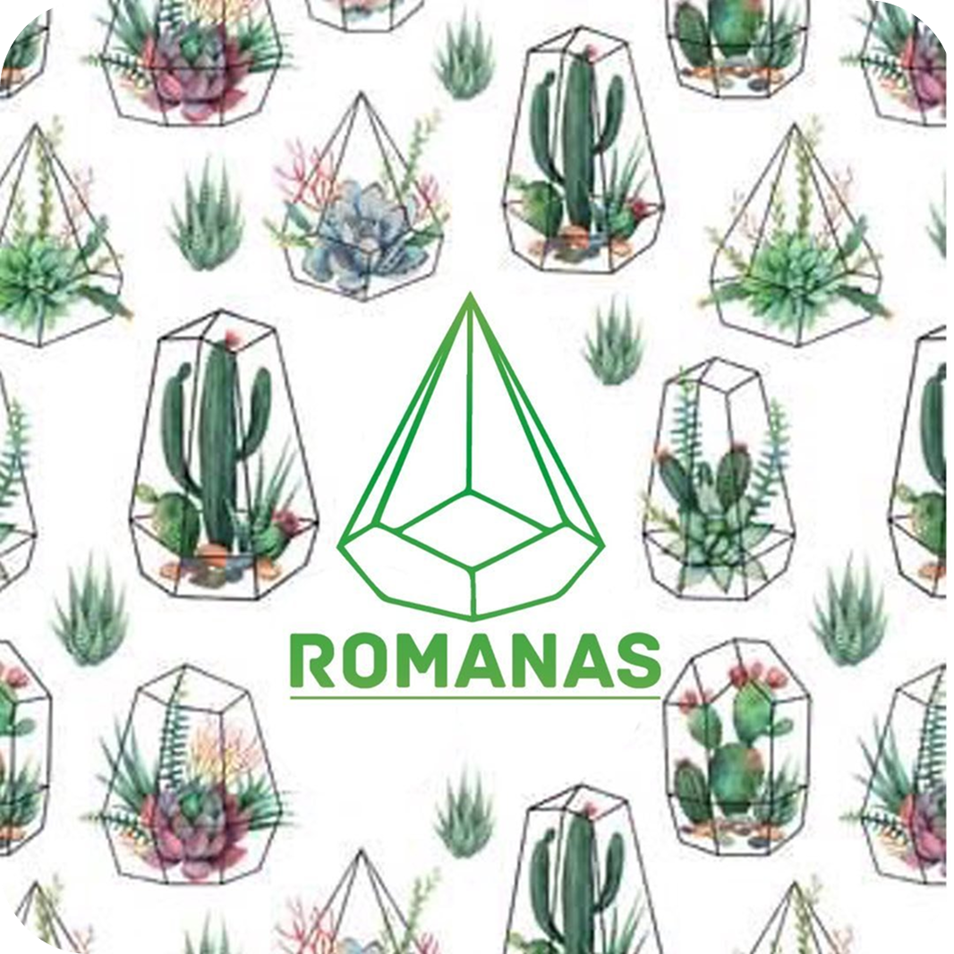 Флорариумы, мастер-класс по созданию флорариума от 60р в "RomAnas"